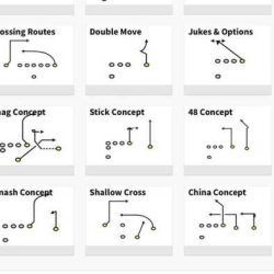 Everfi character playbook answers lesson 4