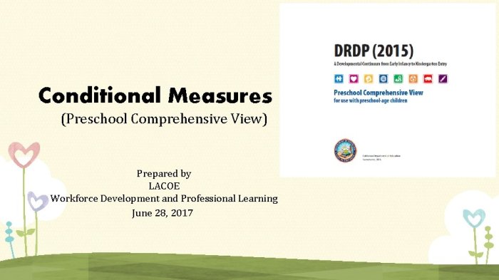 Drdp 2015 preschool comprehensive view