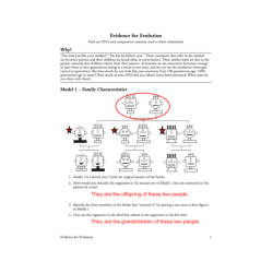 Biochemical evidence for evolution answer key