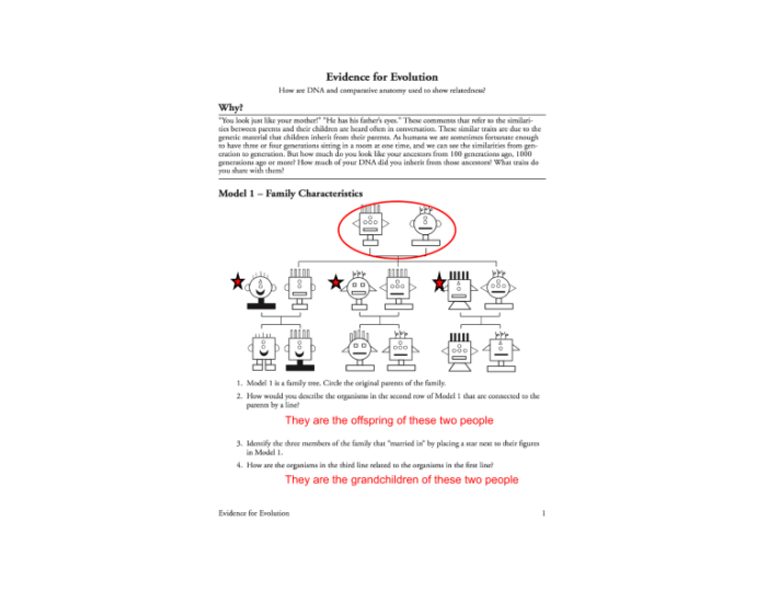 Biochemical evidence for evolution answer key