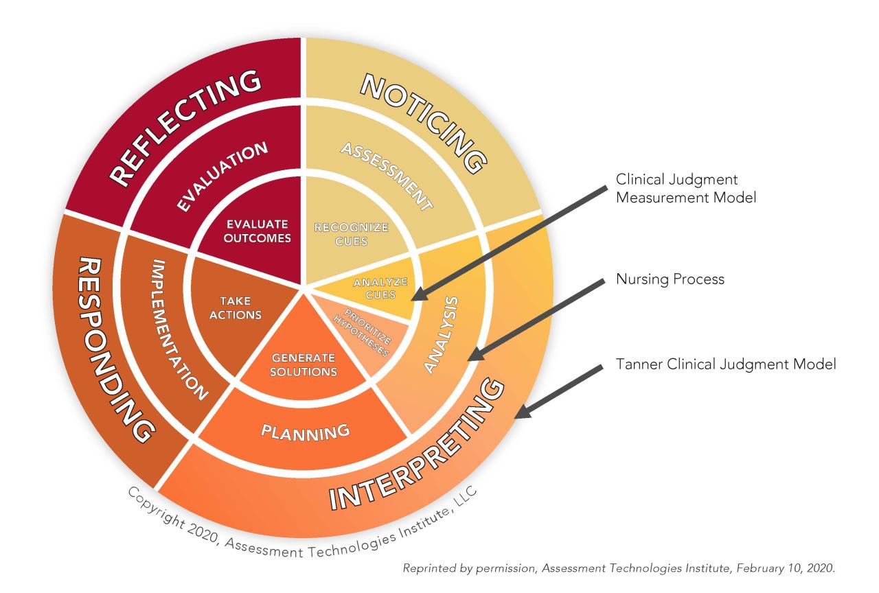 Clinical judgement measurement model chamberlain