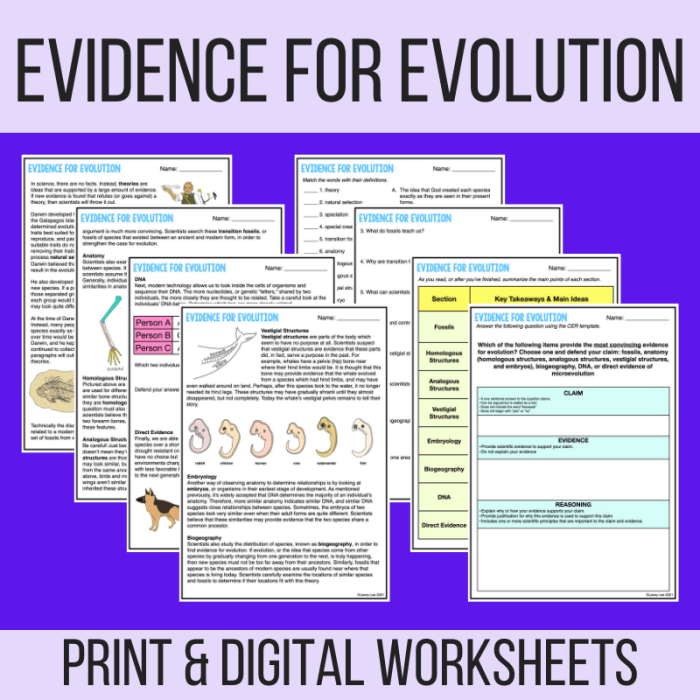 Biochemical evidence for evolution answer key