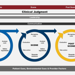 Clinical judgement measurement model chamberlain